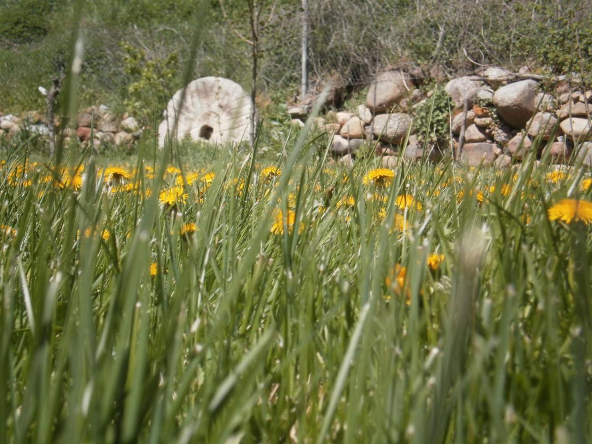 Molino De Country house Pradillo